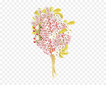 Floral Design, Flower Bouquet, Flower, Cut Flowers PNG