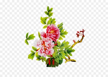 Floral design Flower bouquet Peony Cut flowers -  