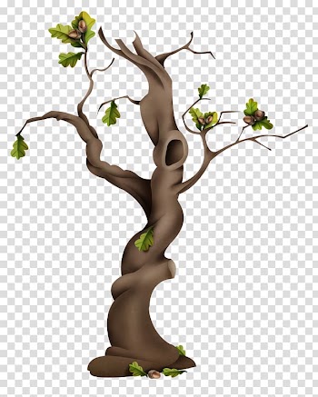 Floral design Flower bouquet Twig Tree, flower transparent background PNG clipart