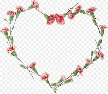 Floral design Flower Clip art - carnations vector 