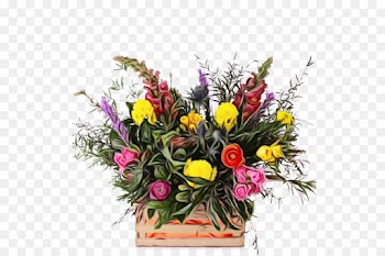 Floral Design, Flower, Cut Flowers, Bouquet PNG