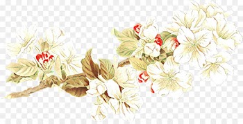 Floral Design, Flower, Cut Flowers, Branch PNG