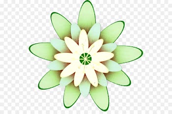 Floral Design, Flower, Cut Flowers, Petal PNG