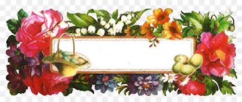 Floral Design, Flower, Cut Flowers, Picture Frame, Rectangle PNG