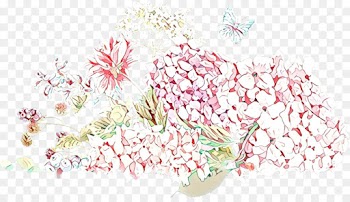 Floral Design, Flower, Cut Flowers, Pink, Botany PNG