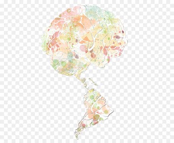 Floral Design, Flower, Cut Flowers, Pink, Plant PNG