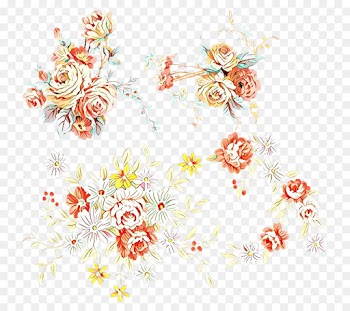 Floral Design, Flower, Cut Flowers, Plant PNG