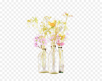Floral Design, Flower, Cut Flowers PNG