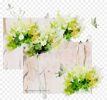 Floral Design, Flower, Cut Flowers, White PNG