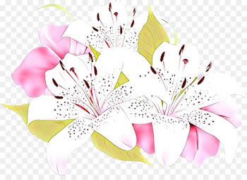 Floral Design, Flower, Cut Flowers, White PNG