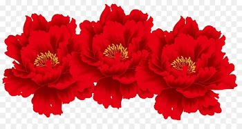 Floral design Flower Drawing Dessin animxe9 - Red peony flowers 