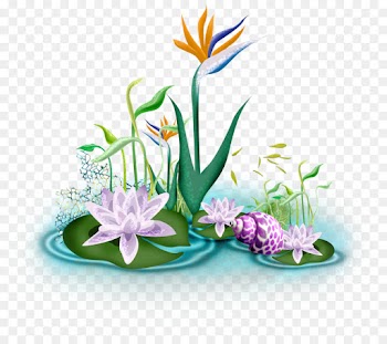 Floral Design, Flower, Garden, Plant PNG