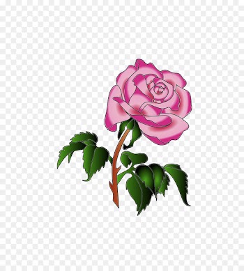 Floral design Flower Garden roses Blue rose Petal - crose business 