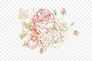 Floral Design, Flower, Garden Roses, Cut Flowers PNG