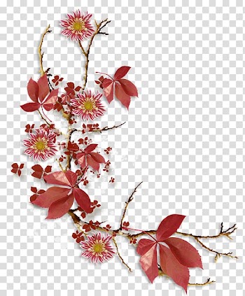 Floral design Flower Garden roses , flower transparent background PNG clipart