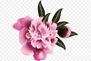 Floral design Flower Illustration - Flower pattern elements 