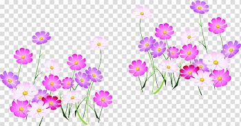 Floral design Flower Illustration, Painted pink flowers autumn sea transparent background PNG clipart