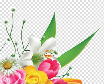 Floral design Flower Lilium Ornamental plant, Lily flowers transparent background PNG clipart