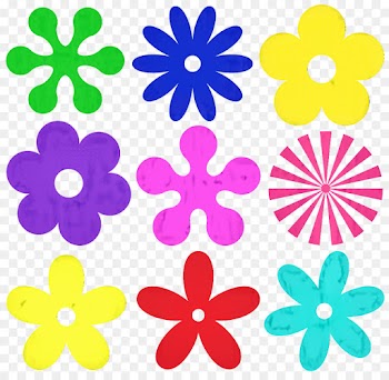 Floral Design, Flower, Ornament, Petal, Plant PNG