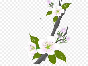Floral design Flower Plum blossom - Plum flower 