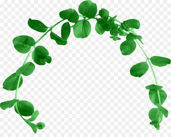Floral design Flower Portable Network Graphics Clip art Image - flower 