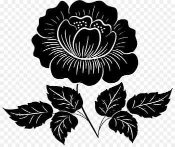 Floral Design, Flower, Rose, Blackandwhite, Leaf PNG