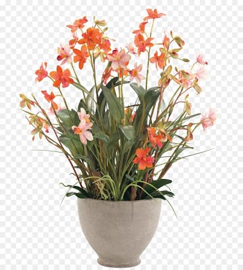 Floral design Flower Vase - Orange flower vase flower white 