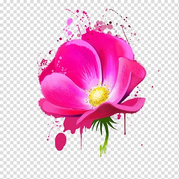 Floral design Flower Watercolor painting, flower transparent background PNG clipart