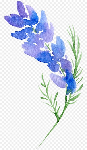 Floral design Flower Watercolor painting - Transparent background floral botanical watercolor flowers 