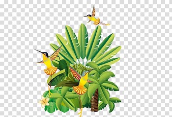 Floral design Flowerpot Leaf Tree Fruit, coconut tree transparent background PNG clipart