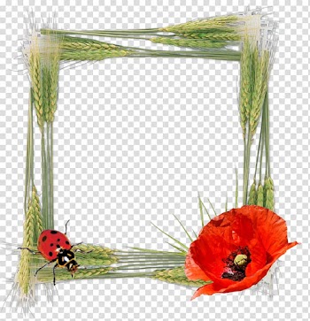 Floral design Frames Red, design transparent background PNG clipart