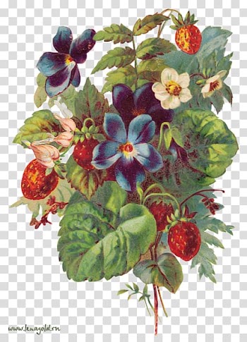 Floral design Fruit Berries Strawberry, berries transparent background PNG clipart
