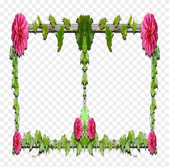Floral Design Garden Roses Cut Flowers Petal Plant - Garden Roses