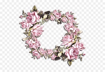 Floral Design, Garden Roses, Flower, Pink, Rose PNG