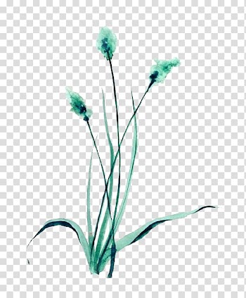 Floral design Green, Green grass transparent background PNG clipart