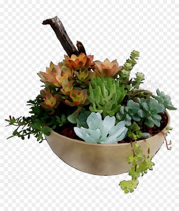 Floral design Herb -  