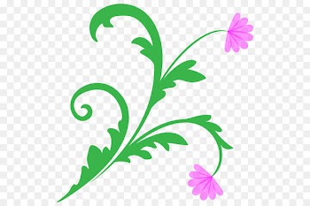 Floral design Illustration Flower Plants Petal -  