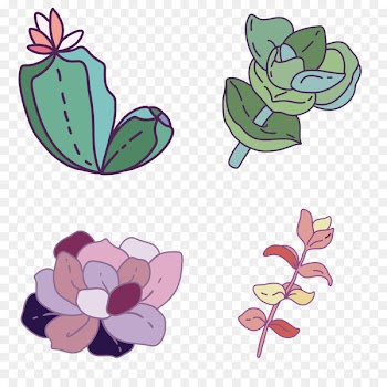 Floral design Illustration Succulent plant Portable Network Graphics - advoacy ornament 