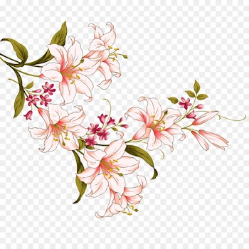 Floral design Ink wash painting Flower Lilium - lily 