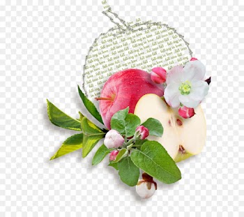 Floral Design, Juice, Flower, Pink PNG