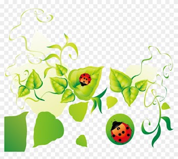 Floral Design Leaf Clip Art - Portable Network Graphics