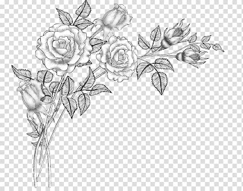 Floral design Line art Drawing Sketch, others transparent background PNG clipart