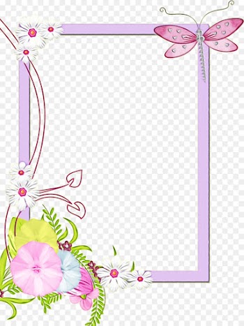 Floral Design, M Butterfly, Cut Flowers, Pink, Picture Frame PNG