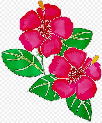 Floral design Mallows Cut flowers -  
