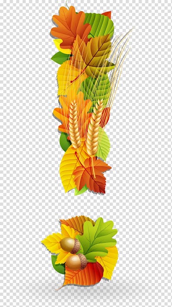 Floral design Maple leaf Autumn, Autumn leaves exclamation mark transparent background PNG clipart
