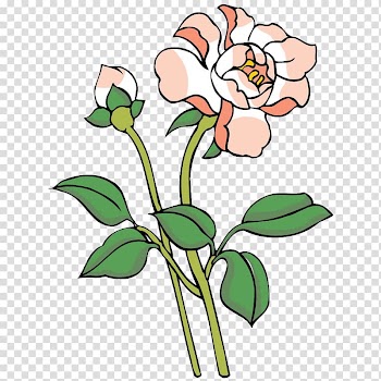 Floral design Painting, peony transparent background PNG clipart