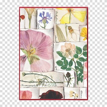 Floral design Paper Frames Rectangle, design transparent background PNG clipart