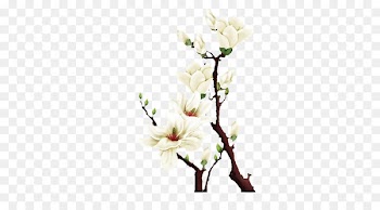 Floral design Petal Flower White - White flowers 