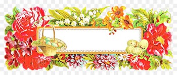 Floral Design, Picture Frames, Picture Frame, Interior Design PNG