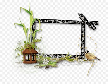 Floral Design, Picture Frames, Picture Frame, Rectangle PNG